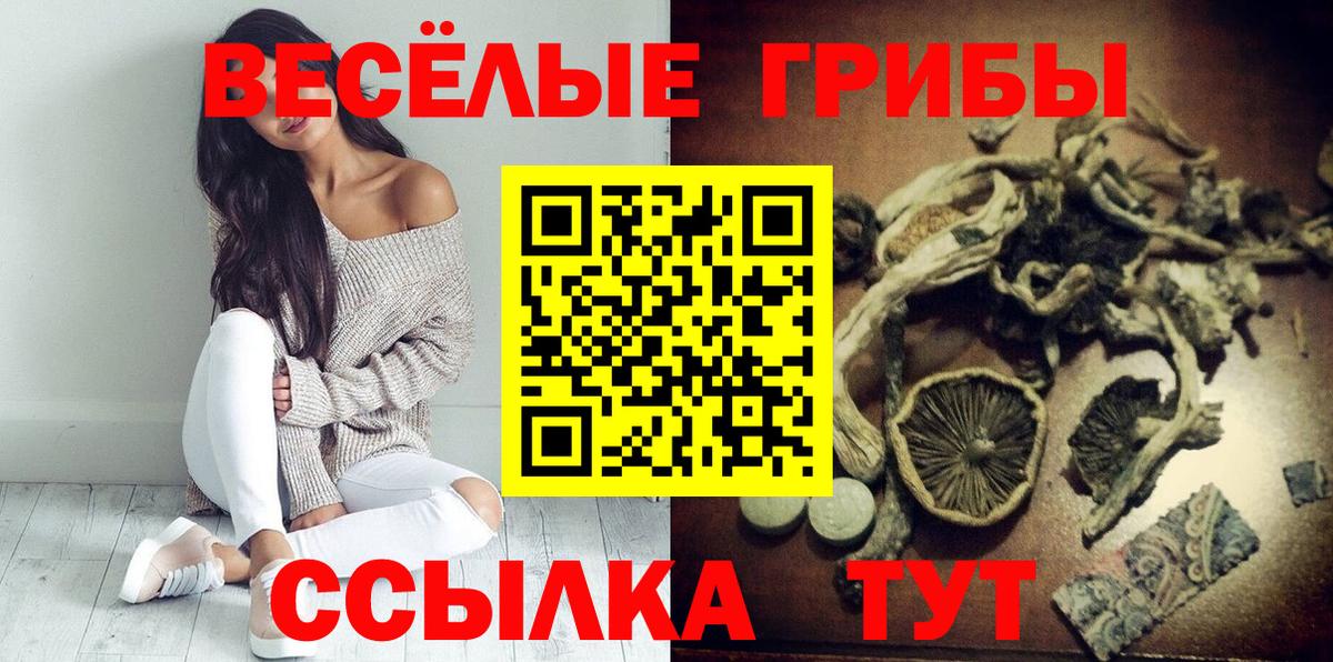 Галлюциногенные грибы ЛСД Сегежа